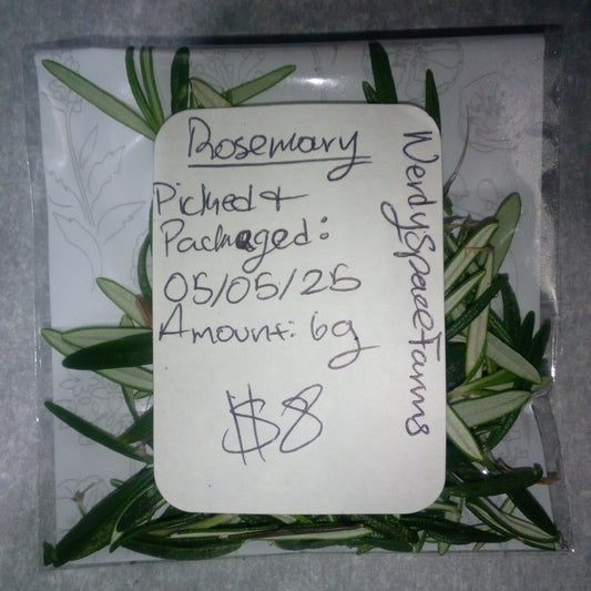 Fresh Galactic Rosemary Herb (6g)